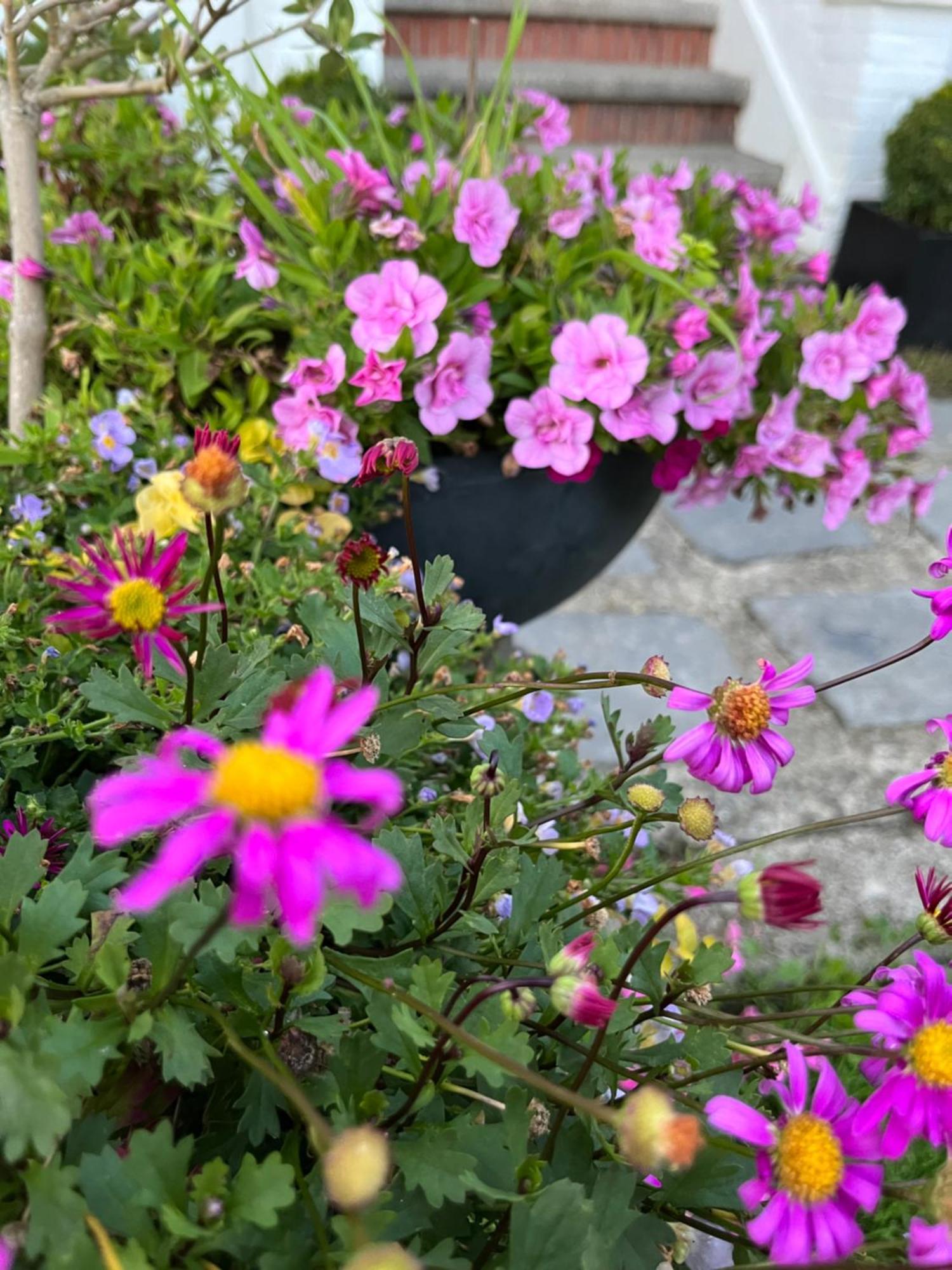 Le Petit Paradis كاسل المظهر الخارجي الصورة